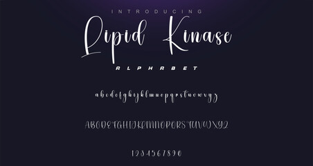 signature Font Calligraphy Logotype Script Brush Font Type Font lettering handwritten