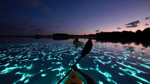 Kayaking on glowing waters under a twilight sky at bioluminescent bay in Puerto Rico