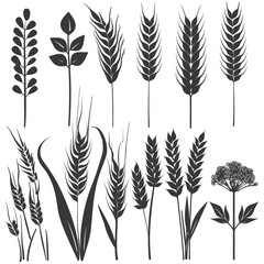 A Collection Of Black Silhouettes Of Various Types Of Grass And Plants