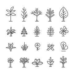 Collection Of 20 Outline Drawings Of Different Tree And Plant Types