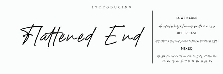 Signature Font Calligraphy Logotype Script Font Type Font lettering handwritten.