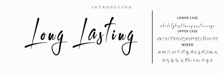 Signature Font Calligraphy Logotype Script Font Type Font lettering handwritten.