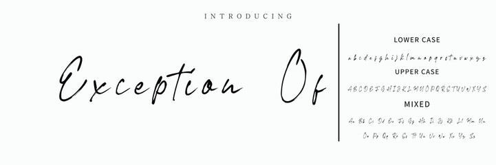 Fototapeta premium Signature Font Calligraphy Logotype Script Font Type Font lettering handwritten.