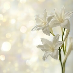 Fototapeta premium Elegant white flowers are displayed against a soft bokeh background, evoking a serene and respectful atmosphere suitable for mourning and funeral imagery.