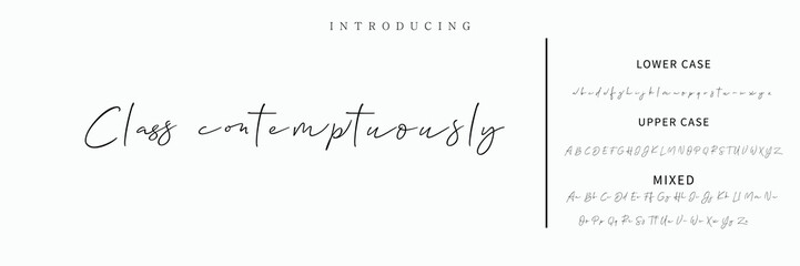 Signature Font Calligraphy Logotype Script Font Type Font lettering handwritten
