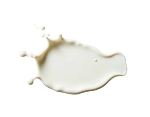 milk splash isolated on white background