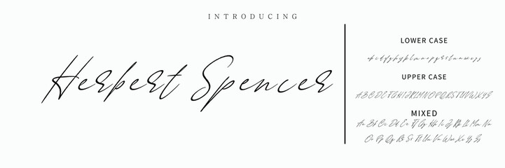 Signature Font Calligraphy Logotype Script Font Type Font lettering handwritten
