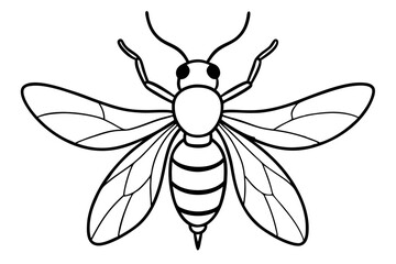 a beetle wings spread line art vector illustration