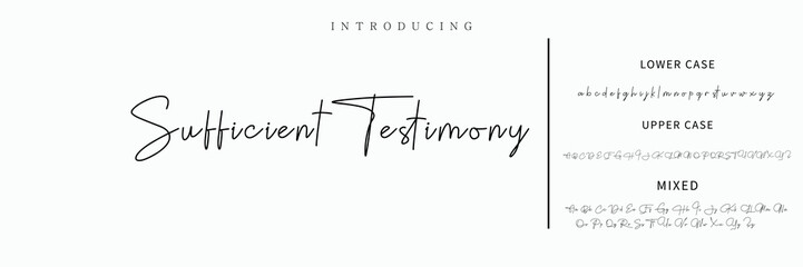 Signature Font Calligraphy Logotype Script Font Type Font lettering handwritten
