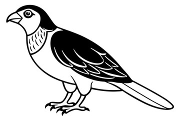  a red tailed hawk line art vector illustration