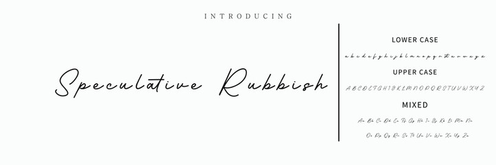 Signature Font Calligraphy Logotype Script Font Type Font lettering handwritten
