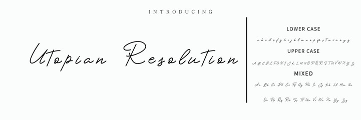 Signature Font Calligraphy Logotype Script Font Type Font lettering handwritten
