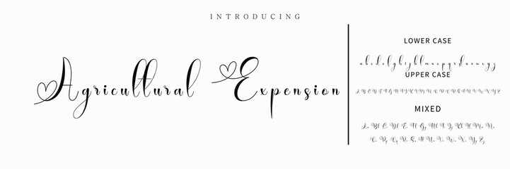 Hand drawn vector alphabet. Modern monoline signature script font. Elegant Signature Font. Best Alphabet Beautiful Calligraphy Signature Font lettering