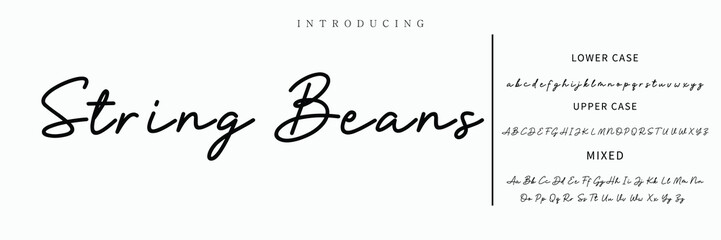 Hand drawn vector alphabet. Modern monoline signature script font. Elegant Signature Font. Best Alphabet Beautiful Calligraphy Signature Font lettering