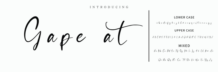 Hand drawn vector alphabet. Modern monoline signature script font. Elegant Signature Font. Best Alphabet Beautiful Calligraphy Signature Font lettering