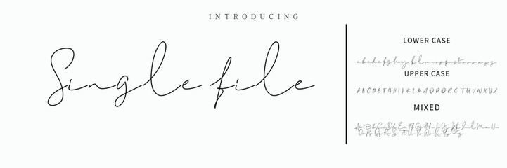 Hand drawn vector alphabet. Modern monoline signature script font. Elegant Signature Font. Best Alphabet Beautiful Calligraphy Signature Font lettering