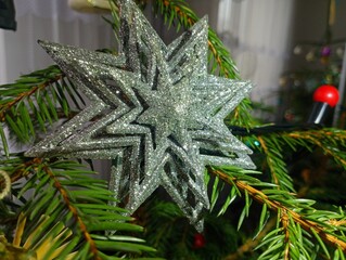 New Year's silver decoration in the form of a star with sparkles on a green live Christmas tree.