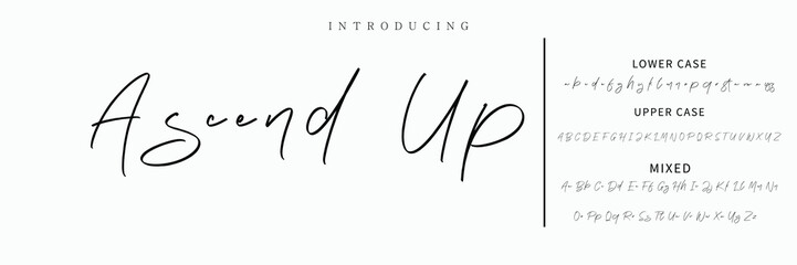 Hand drawn vector alphabet. Modern monoline signature script font. Elegant Signature Font. Best Alphabet Beautiful Calligraphy Signature Font lettering