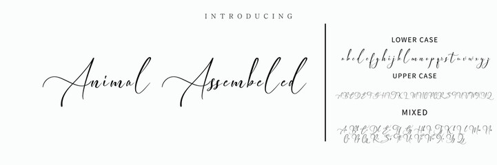 Hand drawn vector alphabet. Modern monoline signature script font. Elegant Signature Font. Best Alphabet Beautiful Calligraphy Signature Font lettering