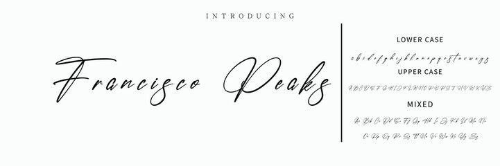 Hand drawn vector alphabet. Modern monoline signature script font. Elegant Signature Font. Best Alphabet Beautiful Calligraphy Signature Font lettering