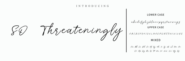 Hand drawn vector alphabet. Modern monoline signature script font. Elegant Signature Font. Best Alphabet Beautiful Calligraphy Signature Font lettering