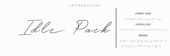 Hand drawn vector alphabet. Modern monoline signature script font. Elegant Signature Font. Best Alphabet Beautiful Calligraphy Signature Font lettering