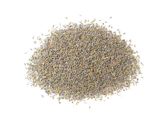 Dry lavender flowers isolated, lavandula perfume buds, petals, fragrance lilac blossoms, herbs