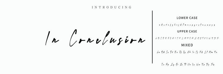 Fototapeta premium Signature Font Calligraphy Logotype Script Font Type Font lettering handwritten.
