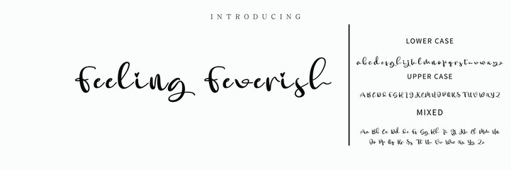 Signature Font Calligraphy Logotype Script Font Type Font lettering handwritten.