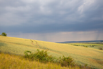 Seweckenberge Gersdorfer Burg Quedlinburg
