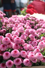 flowers in a market