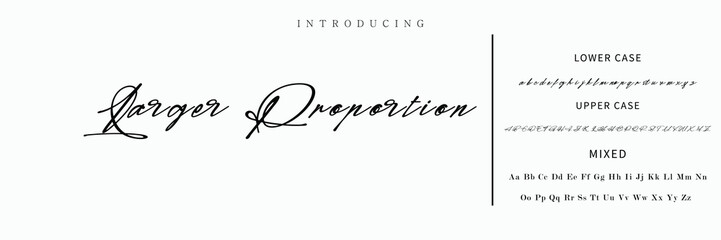 Fototapeta premium Signature Font Calligraphy Logotype Script Font Type Font lettering handwritten.