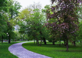Curved Path In Lush Green Park