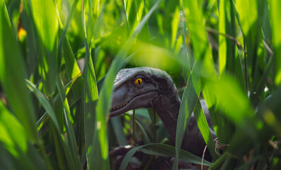 Velociraptor dinosaur toy in the middle of lush green grass