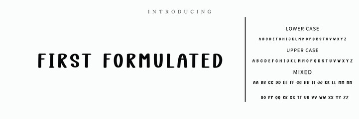 Signature Font Calligraphy Logotype Script Font Type Font lettering handwritten.