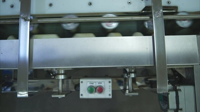 Conveyor system and emergency stop button in a canned fish factory