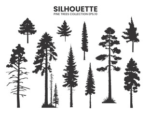 Fototapeta premium Silhouette trees on wildlife collections.Vector illustration
