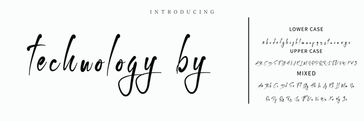 Signature Font Calligraphy Logotype Script Font Type Font lettering handwritten.