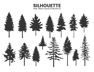 Fototapeta premium Silhouette pines trees collection .Vector background design