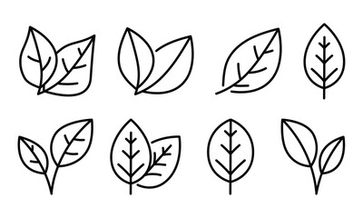 Natural linear leaves and branches icon set