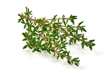 Fresh thyme sprigs, spice, close-up, isolated on white background.