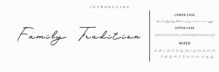 Hand drawn vector alphabet. Modern monoline signature script font. Elegant Signature Font. Best Alphabet Beautiful Calligraphy Signature Font lettering