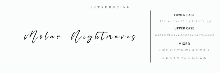 Hand drawn vector alphabet. Modern monoline signature script font. Elegant Signature Font. Best Alphabet Beautiful Calligraphy Signature Font lettering