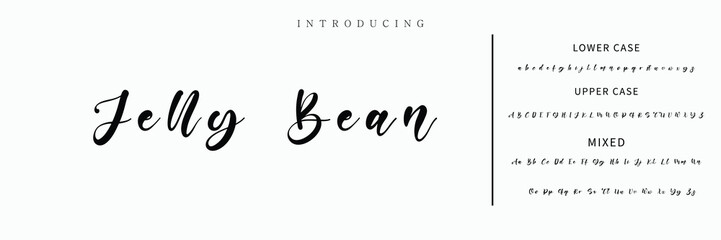 Hand drawn vector alphabet. Modern monoline signature script font. Elegant Signature Font. Best Alphabet Beautiful Calligraphy Signature Font lettering