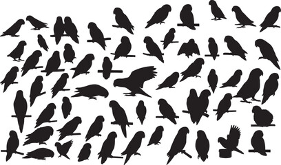 Lovebird Silhouette Collection