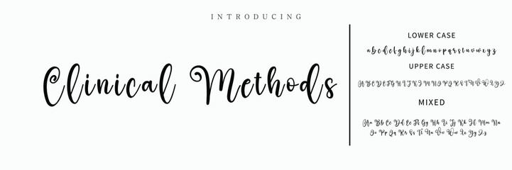 Hand drawn vector alphabet. Modern monoline signature script font. Elegant Signature Font. Best Alphabet Beautiful Calligraphy Signature Font lettering