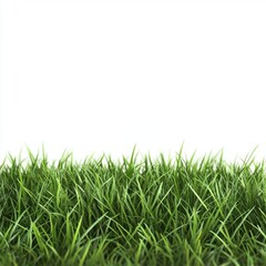 Obraz premium A lush green grass field set against a transparent or white background, ideal for showcasing products.