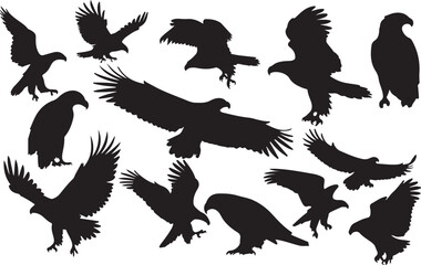 Obraz premium Eagle Silhouettes Collection