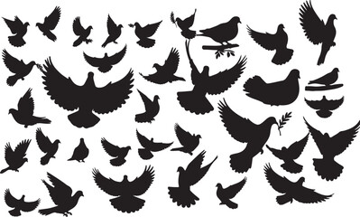Fototapeta premium Dove Silhouettes Collection