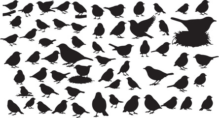 Dunnock Silhouette Collection